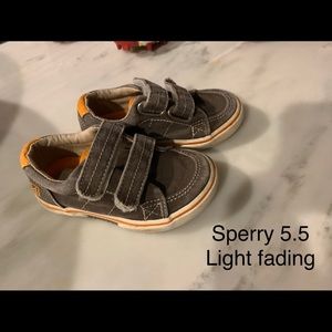 Sperrys infant/toddler 5.5